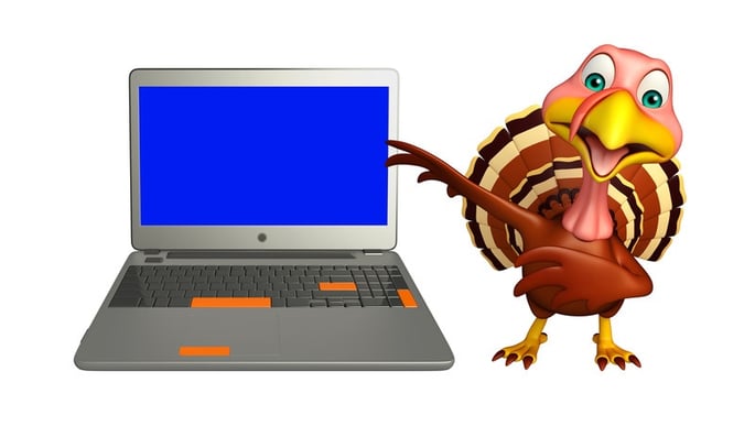 canstockphoto35314356-Turkeywithlaptop