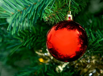 Red ball hanging on a Christmas tree