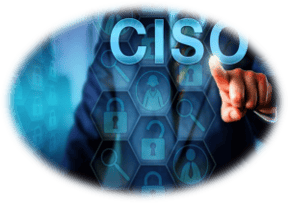 The Chief Information Security Officer in any organization has many responsibilities.